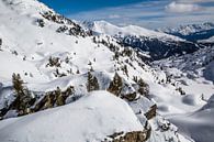 L'hiver dans les Alpes par Peter Leenen Aperçu