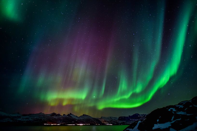 Prächtige Nordlichter über Bergfjorden in Norwegen von Koen Hoekemeijer