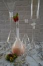 Erdbeer Milch Shake im Kolben von Babetts Bildergalerie Miniaturansicht
