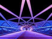 Netkous Bridge, A15, Rotterdam, Netherlands par Art By Dominic Aperçu