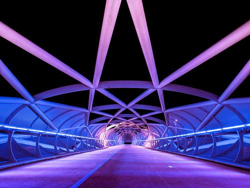 Netkous Brug, A15, Rotterdam