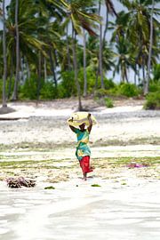 Sansibar von David Blok