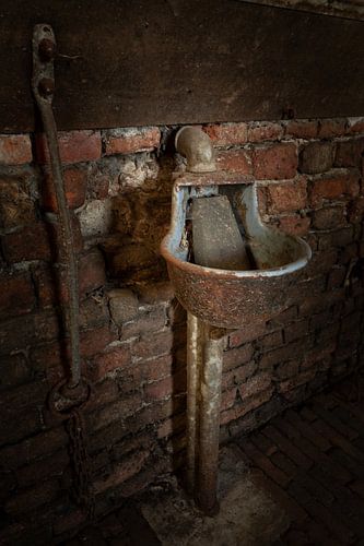 Drinkbak in oude koeienstal: Urbexfotografie uit Groningen