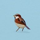 Haussperling (Vogel, Sperling, Polygon) von Color Square Miniaturansicht