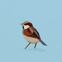 Moineau domestique (Oiseau, moineau, polygone)