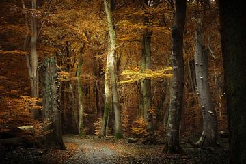 Into The Forest van Kees van Dongen