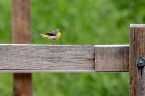 Balancing on the ledge.