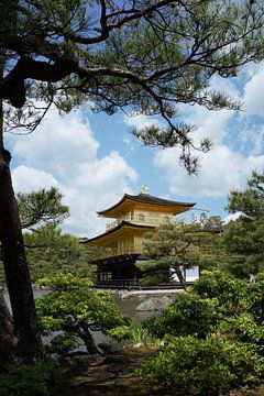 Gouden tempel Kinkaku-ji in Kyoto Japan van Vincent Cornelissen