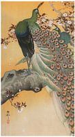 Ohara Koson - Kersenbloesems en pauwen (bewerkt)