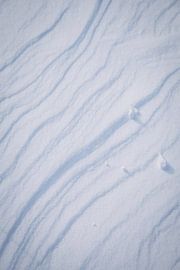 Pattern of fresh powder snow in the winter wonderland of Amere, the Netherlands | Snow landscapes in by Evelien Lodewijks