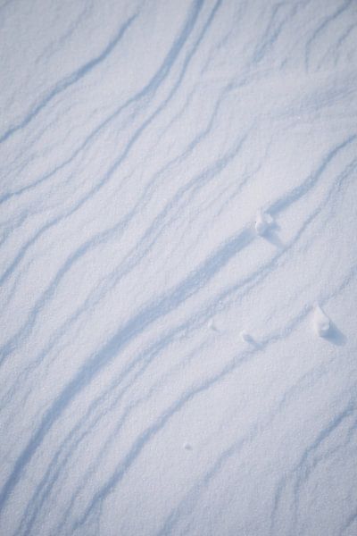 Muster aus frischem Pulverschnee im Winterwunderland von Amere, Niederlande | Schneelandschaften in  von Evelien Lodewijks