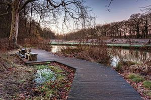Schlosspark Elsloo