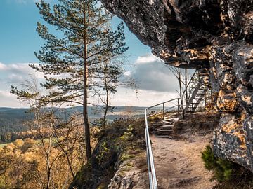 Zirkelstein, Saksisch Zwitserland - Dennenboom en beklimming van het rotsplateau van Pixelwerk