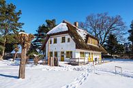 Huis aan de Bodden in Wieck aan de Fischland-Darß in de winter van Rico Ködder thumbnail