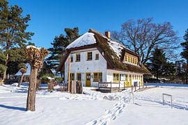 House on the Bodden in Wieck on the Fischland-Darß in winter