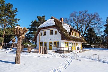 Huis aan de Bodden in Wieck aan de Fischland-Darß in de winter van Rico Ködder