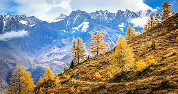Mountainbikers in Zwitserland van Bas Koster