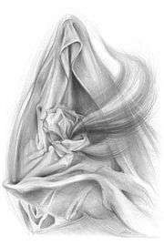 Bewaker van de waarheid 1 van Adriana Müller