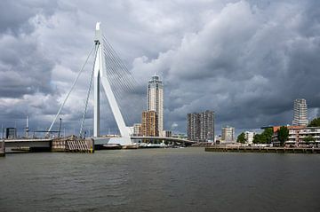 The Nieuwe Maas and Erasmus Bridge by Werner Lerooy