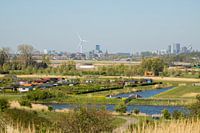Skyline Buytenpark Zoetermeer