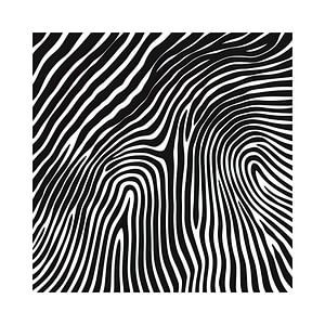 Modern Lines | Lines