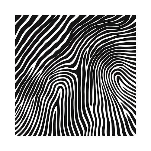 Modern Lines | Lines