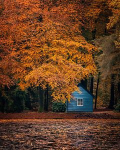 Blaues Fischhaus - Park het Loo