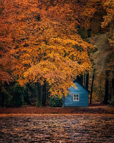 Blaues Fischhaus - Park het Loo