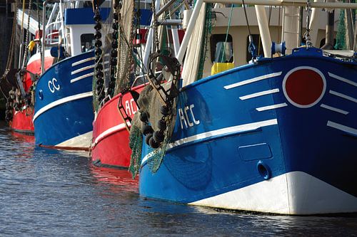 Vis trawlers afgemeerd in de haven