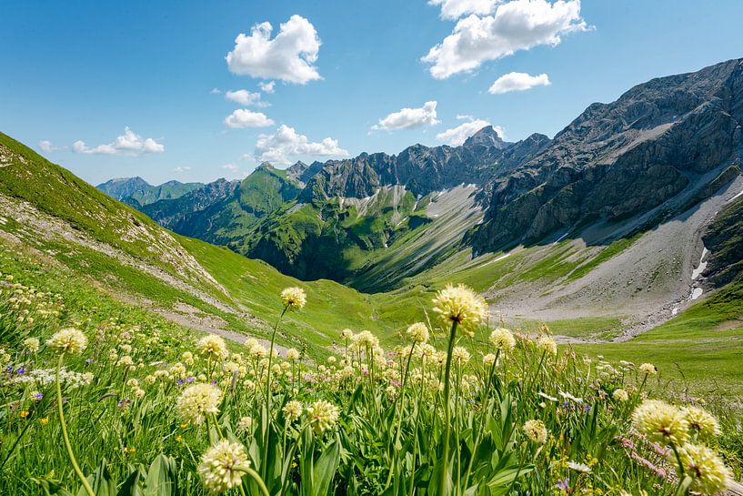 Flowery view of the Hochvogel and the Allgäu Alps by Leo Schindzielorz