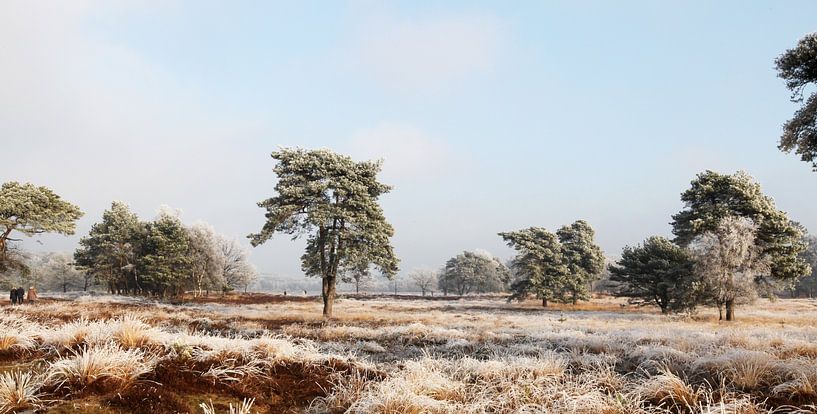 Winterlandschap op de hei van Jan Katsman