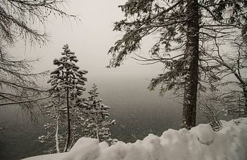 Le lac Eibsee sur Freedom Streaming Photography