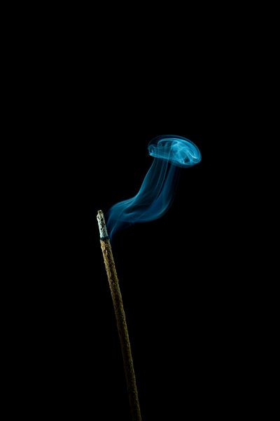 Incense and jellyfish by Shot by Ari