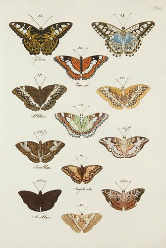 De uitlandsche dag- en nagt-kapellen vol. 2, Caspar Stoll