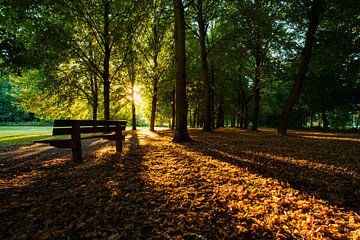 Sonnenuntergang im Park... von Michel Nicolaes