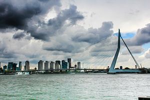 De Skyline van Rotterdam