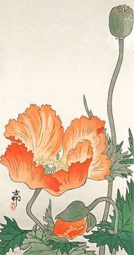 Poppy flowers. Japanese art by Ohara Koson by Dina Dankers