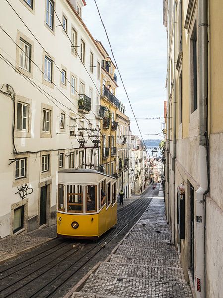 Lisbon by Hello Pompoyo