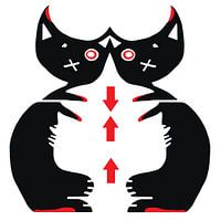 Due Gatti [two cats]