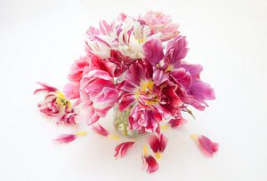Historical tulips in vase, still life by Cora Koning