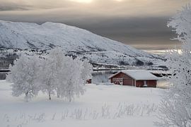 Winterwelt von Loes Bontekoe
