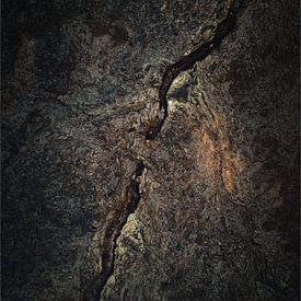Scheur in Lava met Ruwe Aardse Textuur van Dave Adriaanse - Photography