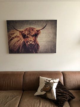 Customer photo: Highland Cattle by AD DESIGN Photo & PhotoArt