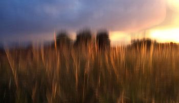 Getreidefeld im Sonnenuntergang in ICM Technik