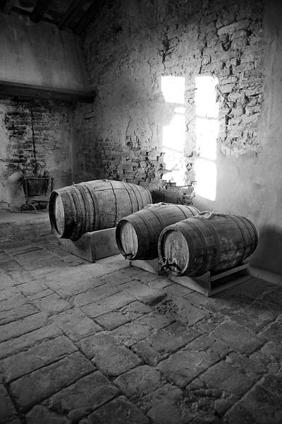 Wijnvaten in oud kasteel van Tom Van Dyck