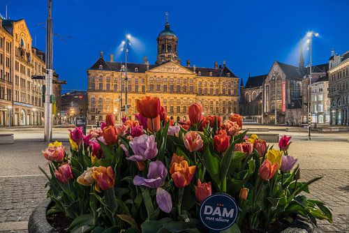 Tulips at the Palace on Dam Square in Amsterdam