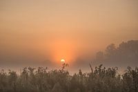 Zonsopgang in het waterrijke Friesland