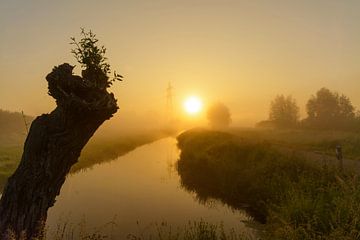 Zonsopkomst tijdens mistige vroege ochtend