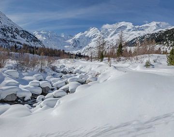 Een besneeuwd Val Morteratsch, Pontresina, Oberengadin, Zwitserland van Rene van der Meer