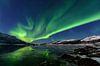 Nordpolarlicht der Aurora im nächtlichen Himmel über Nordnorwegen von Sjoerd van der Wal Miniaturansicht
